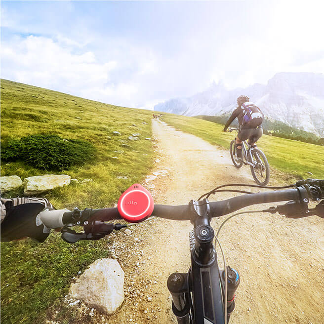 Lorem ipsum dolare legue polar 2