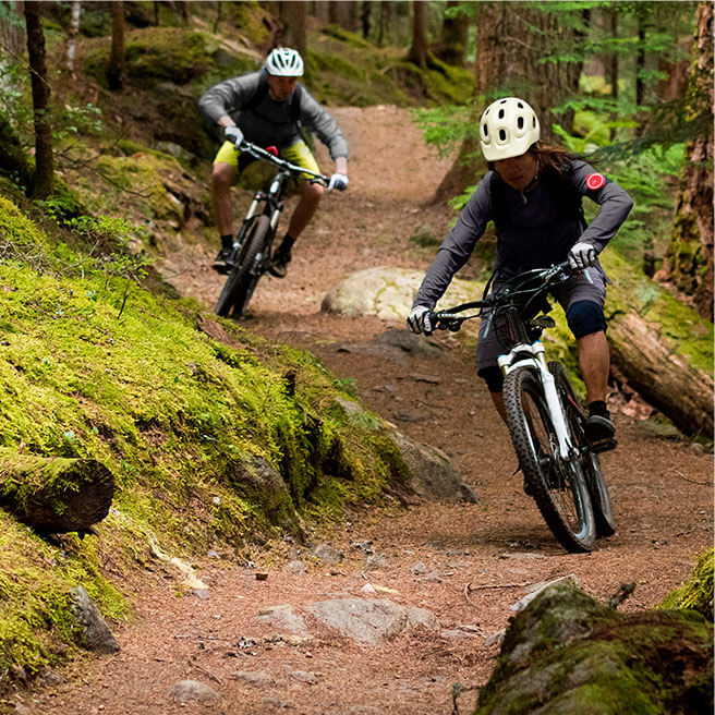 Lorem ipsum dolare legue polar