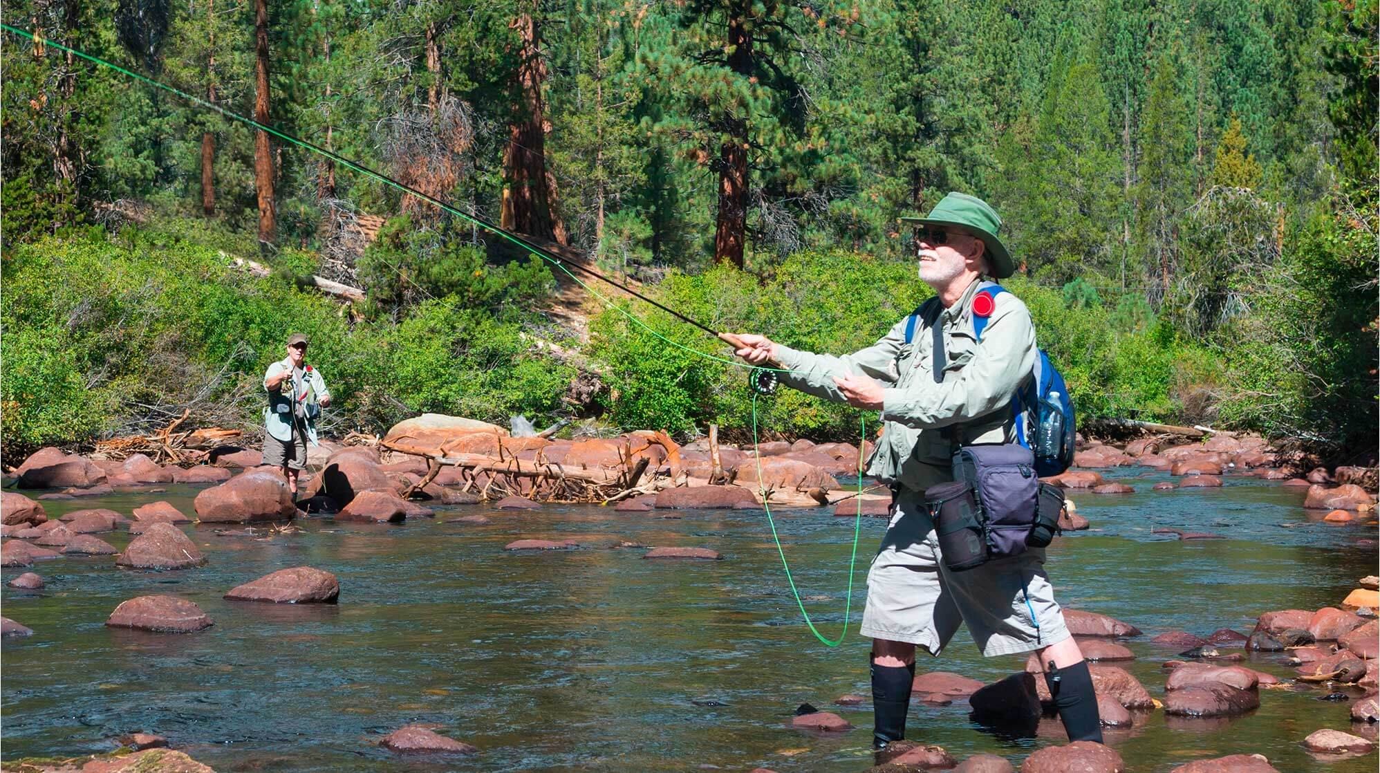 Reviews Section Background