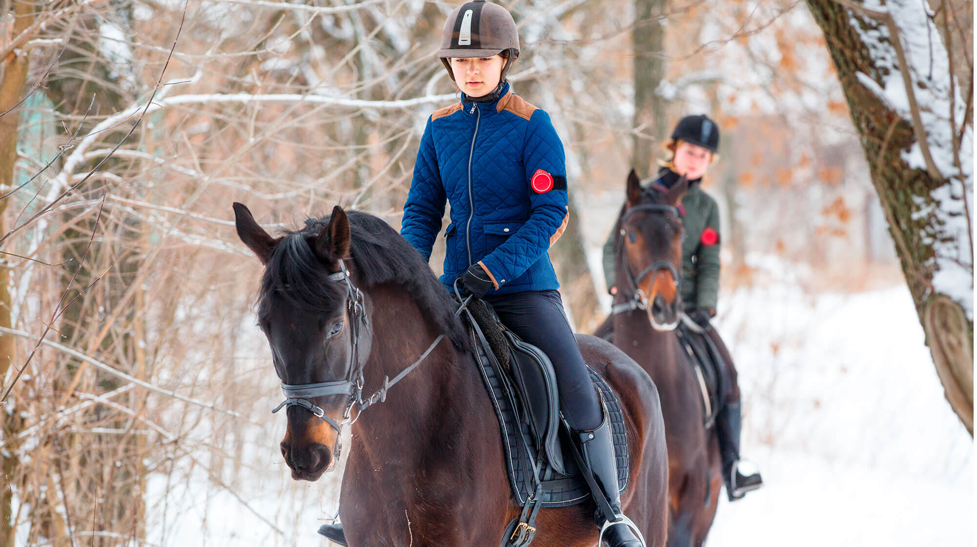 Reviews Section Background