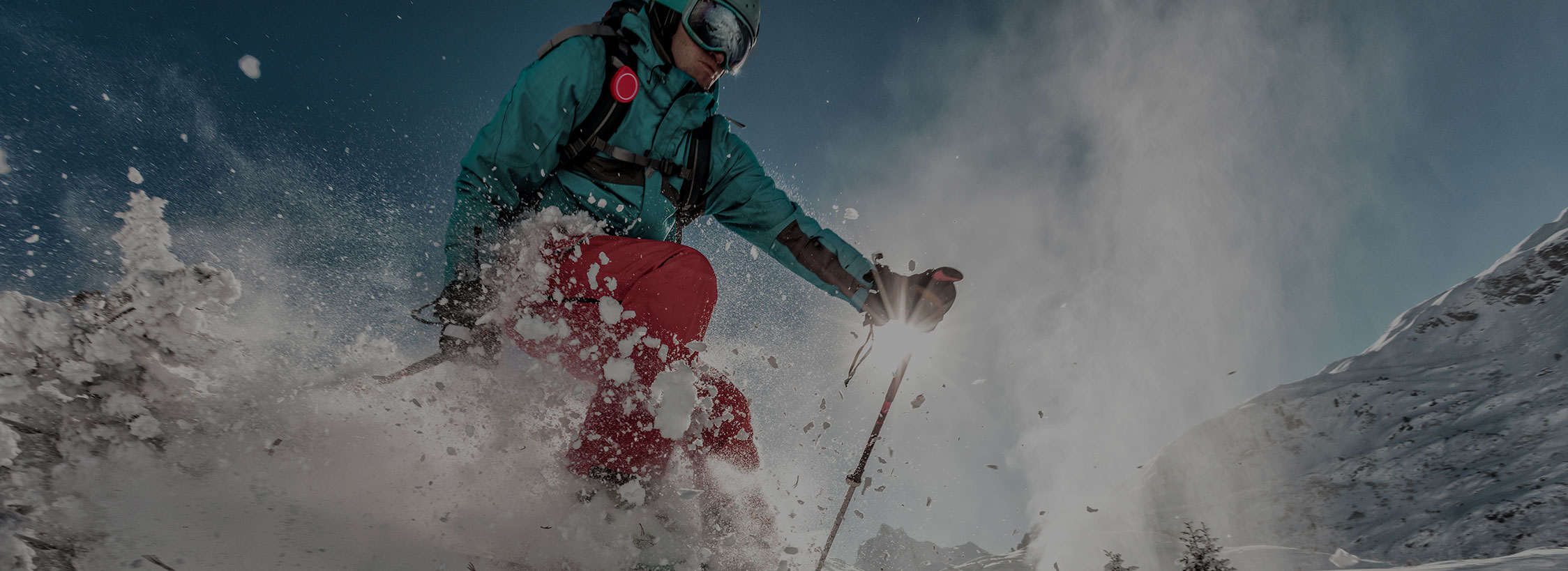 Share Section Background